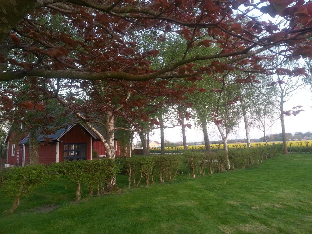 Hus Pa Lantgard Viken Villa Mjohult  Luaran gambar